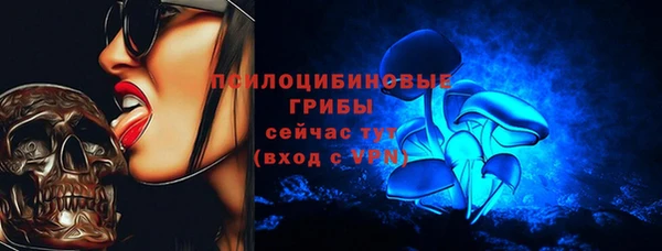 ПСИЛОЦИБИНОВЫЕ ГРИБЫ Балахна